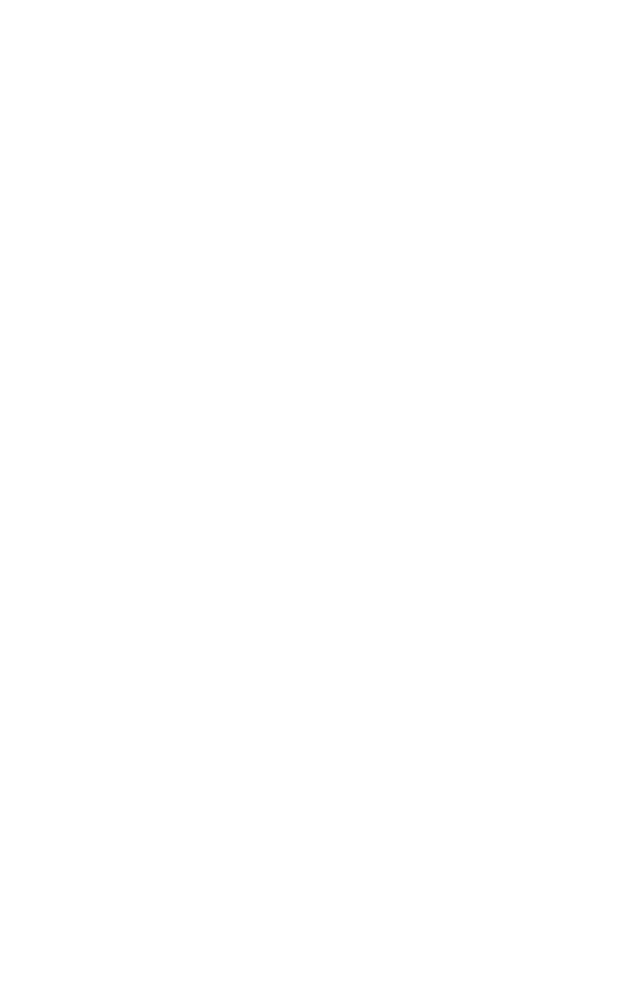 Ronin Judo